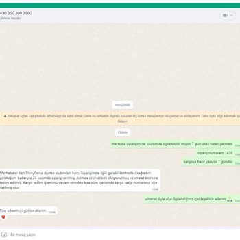 Shinyforce Umursamazlığı Ds