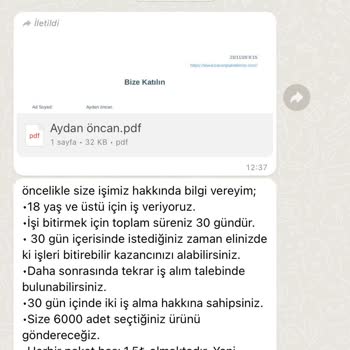 Evde Ekişi Paketleme Paladyum Elektronik Anonim Şirket
