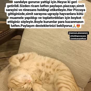 Hayvan Düşmanın Simit Sarayı Hk