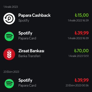 Papara Her Ay 2 Kere Ödeme Çekiyor