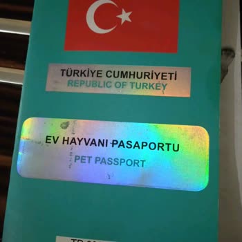 TCDD Pasaportlu Koltuğu Olan Evcil Hayvanı Çalışan Kininden İçeri Almadı!