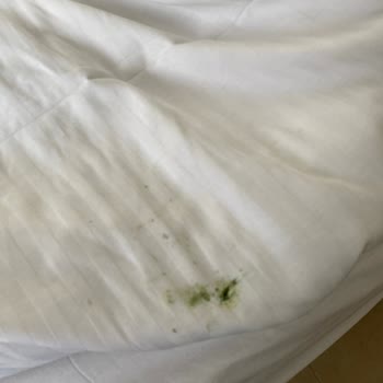 Tuna Termal Otel (Afyon) Termal Otelde Yaşanan Hijyen Problemleri Ve Konaklama Sorunları