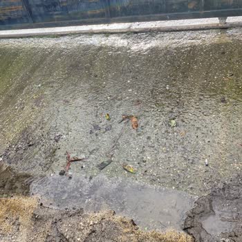 SASKİ Ev Önündeki Su Baskını Sorunu!