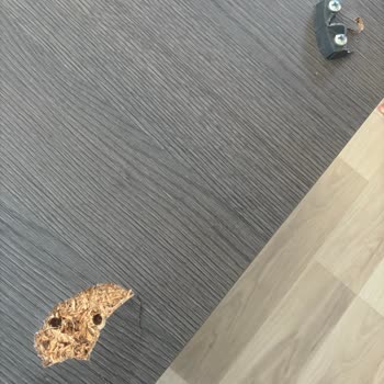 Doğtaş Mobilya Kalitesiz Malzeme Mobilya Ayakları Kırılıyor Çat Çat Bu Nasıl İş