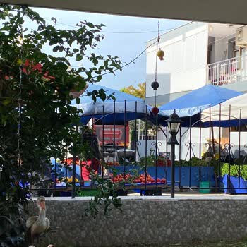 Seferihisar Belediyesi Ürkmez Yazlık Pazar Yeri Rahatsızlığı