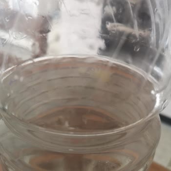 Harras Beyaz Sirke İçerisinde Yüzen "Şey"