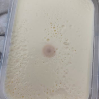 Sütaş'ın Küflü Kaymakları