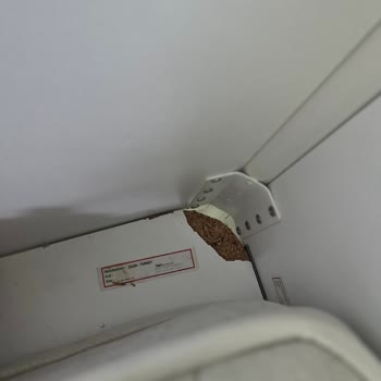 Çilek Mobilya Çilek Ranzanın Sağlam Çıkmaması