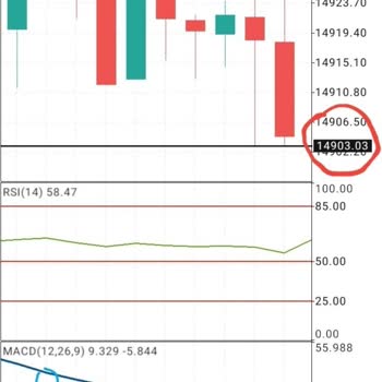 Fibermarkets.com Fiber Markets Mağduru 2358 $