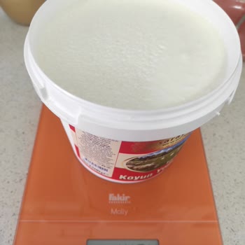 Saraybeyi Süt ve Süt Ürünleri Saray Beyi Sut Ve Sut Ürünleri Koyun Yoğurdu