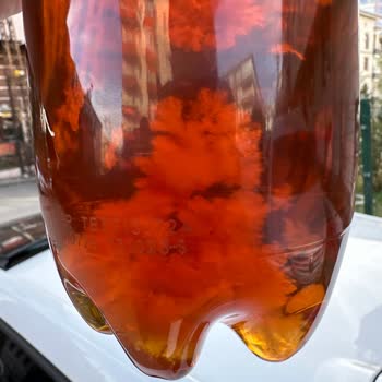 Fuse Tea İce Tea Küflenmesi