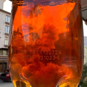 Fuse Tea İce Tea Küflenmesi