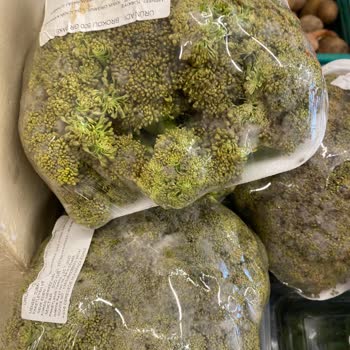 Şok Marketler Şok Çürük Ve Bozulmuş Sebze Meyve Satıyor.