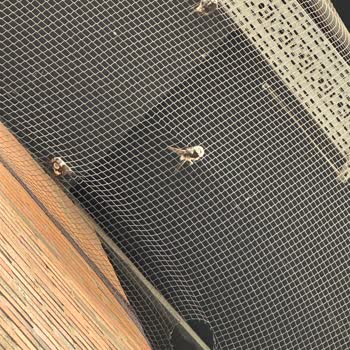 Westpark Outlet AVM Westpark Outlet Yemek