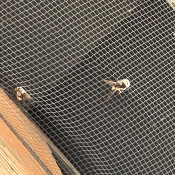 Westpark Outlet AVM Westpark Outlet Yemek