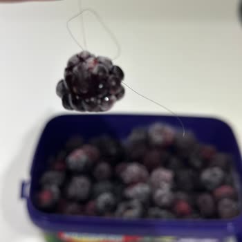 Superfresh Marka Ürünün İçinden Kıl Çıktı