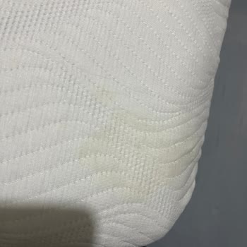 Bambi Yatak Borjen Yastık Lekeli