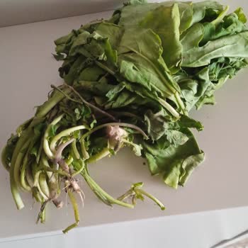 Carrefour SA Online Çürük Ürün, Pahalı Alternatif, Yanlış Saat Teslimatı