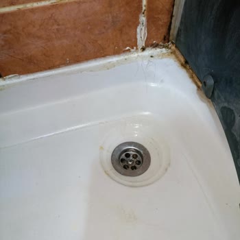 Black & White Temizlik (Ankara) Memnun Kalmadım