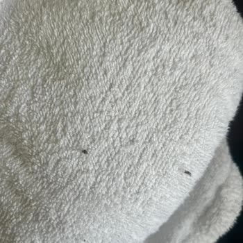 Tuna Termal Otel (Afyon) Afyon'daki Termal Otelde Yaşanan Sorunlar