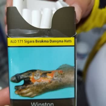 Winston Sigara Da Kurt Çıktı