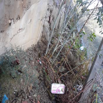 İzmir Büyükşehir Belediyesi Iz Su Karabağlar Bld. Ve İBB