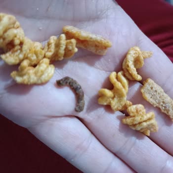 Patos Yeni Açılan Kutudan Çıkan Sürpriz!