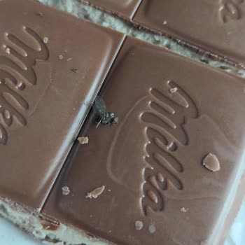 Milka Çikolatasından Sinek Çıktı