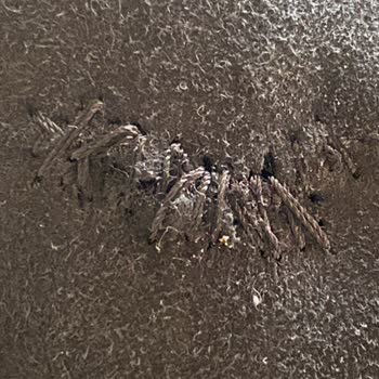 Levent Lostra Ugg Boat Tamir Faciası