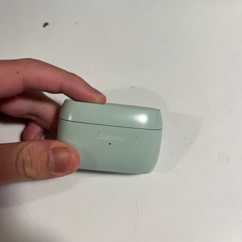 Amazon Jabra Sararma Ve Gövde Ayrılması