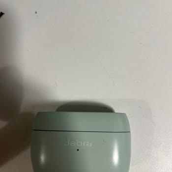 Amazon Jabra Sararma Ve Gövde Ayrılması