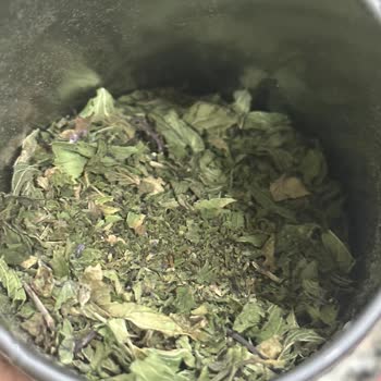 Chado Spearmint Tea Kalitesizliği
