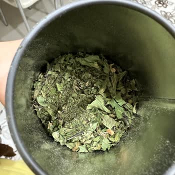 Chado Spearmint Tea Kalitesizliği