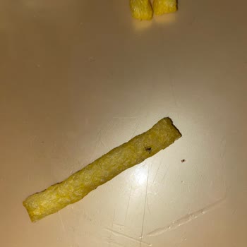 Cheetos İçerisinden Sinek Çıkması