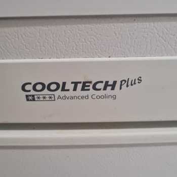 Samsung Cooltech Plus Buzdolabı Modeli Sr-l629ev Tuş Sesi Çıkarması