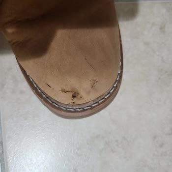 Temiz.co'ya Botlarımı Verdim Sonuç Hüsran