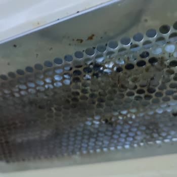 Kumtel Marka Mikrodalga Garanti Sorunu