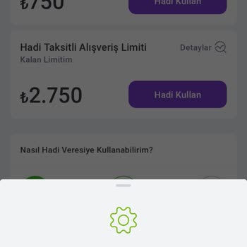 Hadi TOM Pay Hadi Veresiye Limitimi Kullanamıyorum