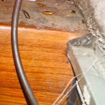 Has Diyarbakır Turizm Yolculuk Süresi Hakkında Yanlış Bilgi Kırık Koltuk Ve Hamam Böcekleri
