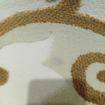 Pasha Halı Yıkama (Bursa) Fiyat Ve Temizlik Sorunuyla Karşı Karşıya Kaldım