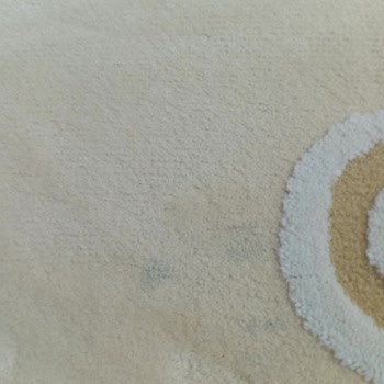 Pasha Halı Yıkama (Bursa) Fiyat Ve Temizlik Sorunuyla Karşı Karşıya Kaldım