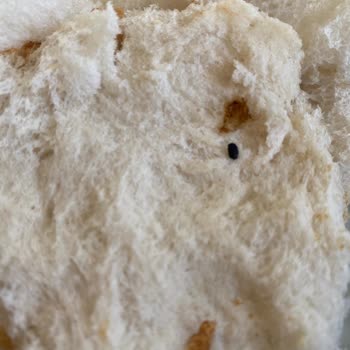 BİM Ekmekte Fare Dışkısı