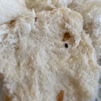 BİM Ekmekte Fare Dışkısı