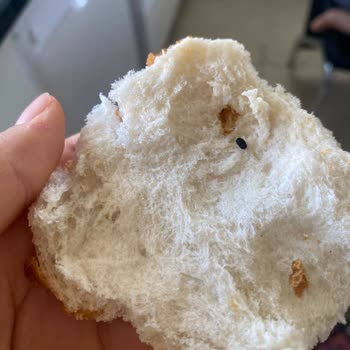 BİM Ekmekte Fare Dışkısı