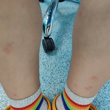 Pegasus Bagaj Ve Temizlik Şikayet