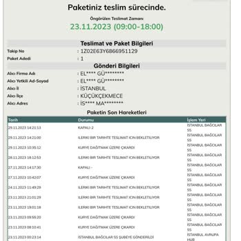 UPS Türkiye Kargo Hareketi Gözükmüyor