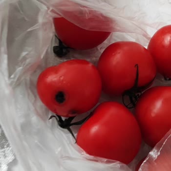 Migros Ayıplı Ve Çürük Ürün