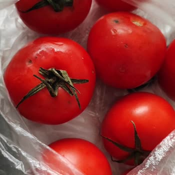 Migros Ayıplı Ve Çürük Ürün