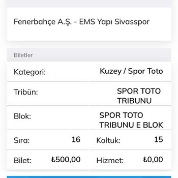 Passolig Maç Tribün Hatası