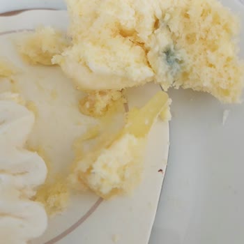 Bolulu Hasan Usta Küflenmiş Pasta Yediriyor.